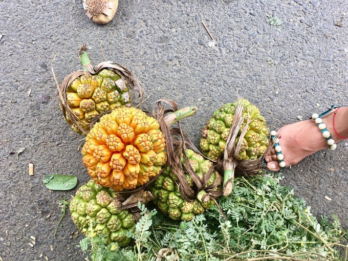 一个人越南攻略,一个人越南自驾游纪录片