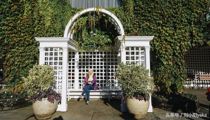 维多利亚水廊旅游,加拿大旅行景点