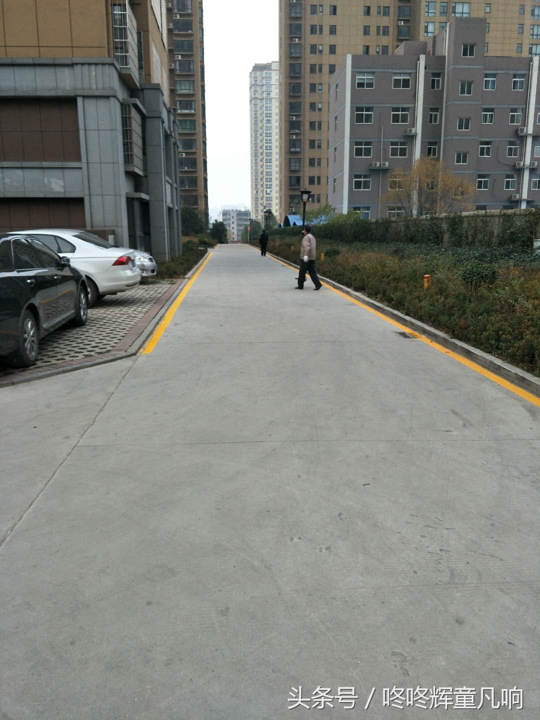 淇￠槼甯備腑淇′笂鍩庡搧,鍏冩棪鐗╀笟绁濈涓氫富