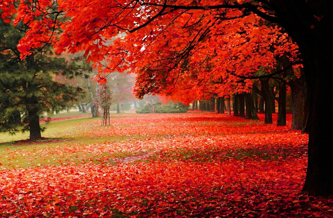 睡不着看看这几句话句句入心,当你晚上睡不着时打开看看