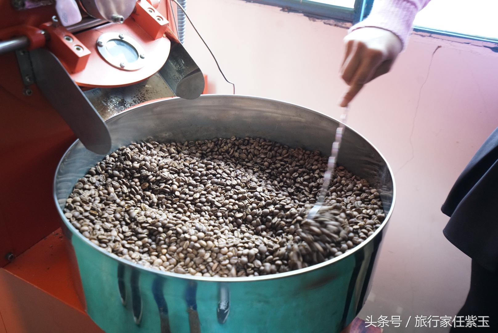 猫屎咖啡和普通咖啡有什么区别呢,猫屎咖啡和云南小粒咖啡哪个好