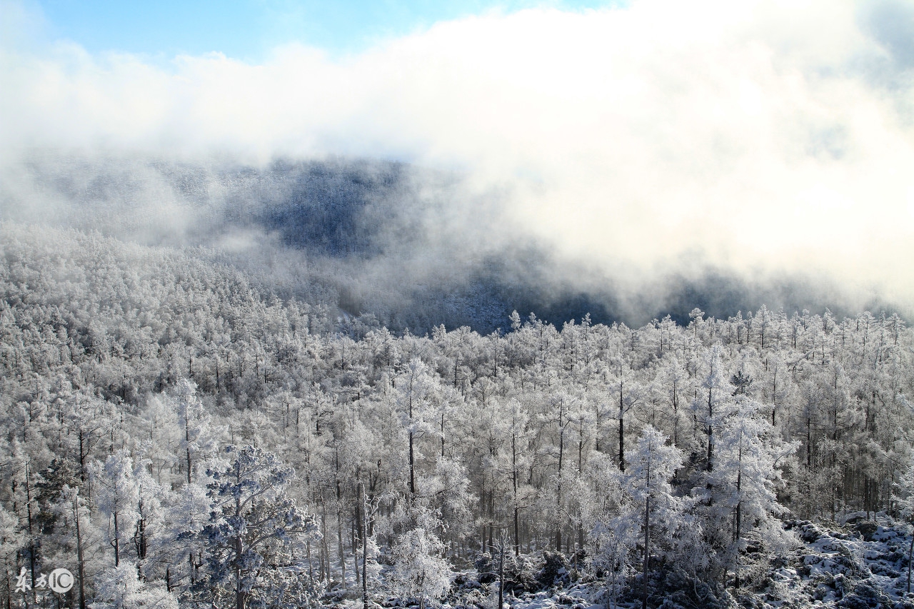 漠河寻北之旅邂逅冰雪奇缘,漠河冰雪深度游