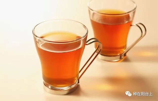 花花草草生虫用什么药更好,阳台花草长虫怎么处理