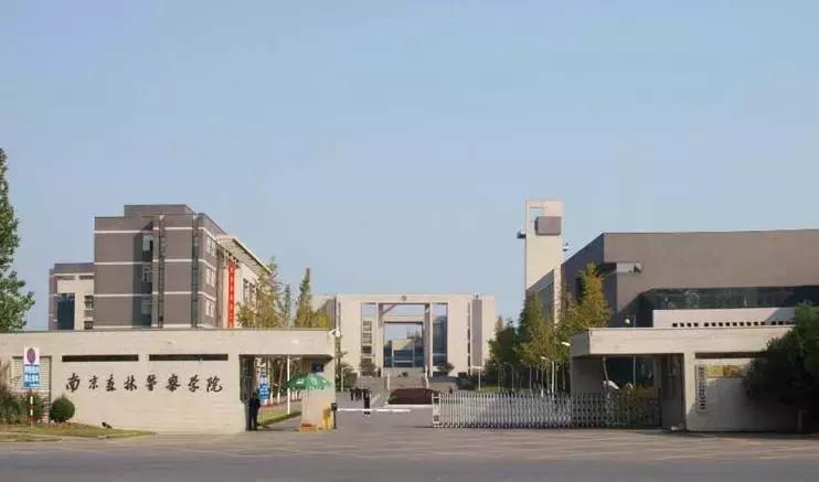 我骄傲我是南航人,我骄傲我是一棵树原文