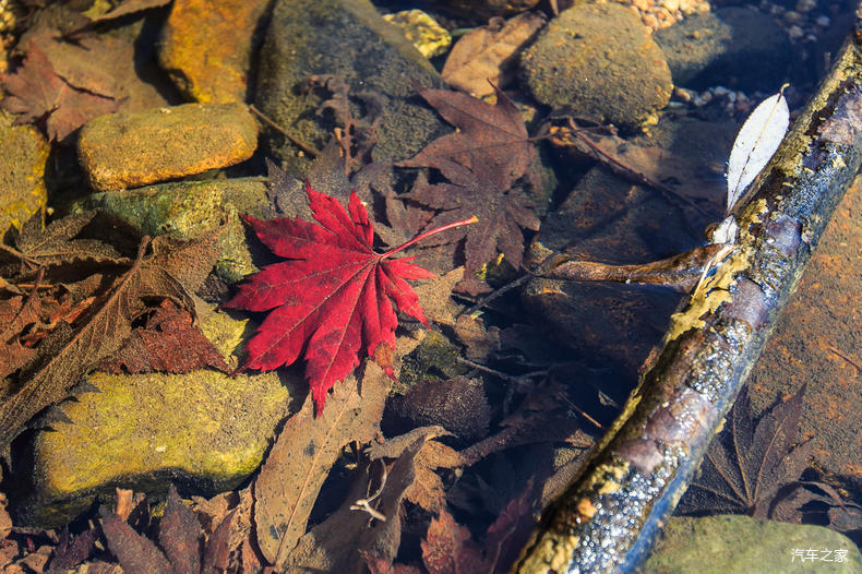 家乡之美美篇,家乡之美原唱完整版