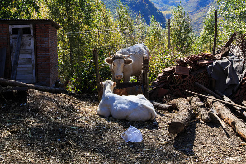 家乡之美美篇,家乡之美原唱完整版