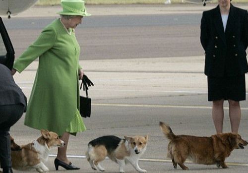 英女王一周年,英女王伊丽莎白二世在位70周年