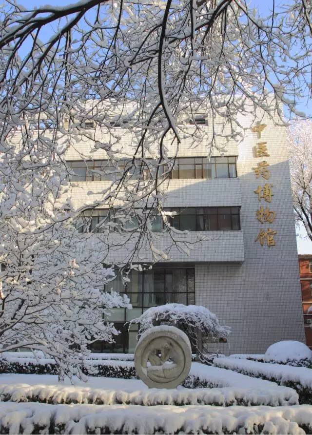 国医·青年嘘，这些秘密只有北中医人才听得懂~