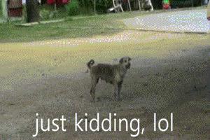 明天愚人节|小财送你办公室整蛊全攻略，对不起了，领导！