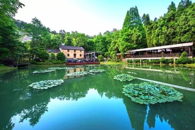 我叫杭州,这是我最新的简历,请多关照~