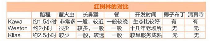 【一只熊的冒险】薄荷色夏日梦，马来西亚沙巴亚庇仙本那历险记——敦沙卡兰海洋公园（完）