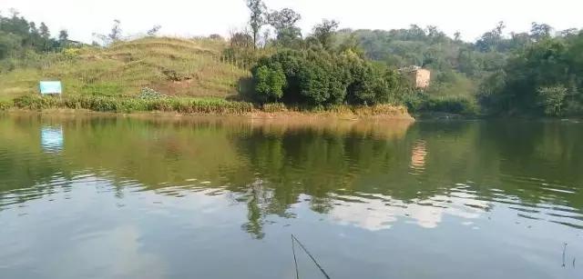 最新重庆周边钓鱼地点推荐,重庆免费钓鱼的最佳地点