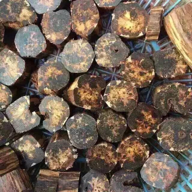 黄花梨天价,海南黄花梨天价手串