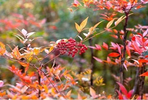 可怕的虫子小学生,恐怖虫子从哪里爬出来