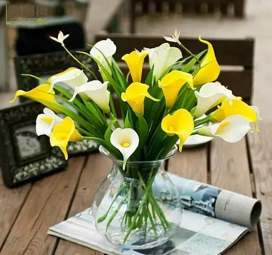 彩色马蹄莲花语象征与寓意,马蹄莲花语象征与寓意