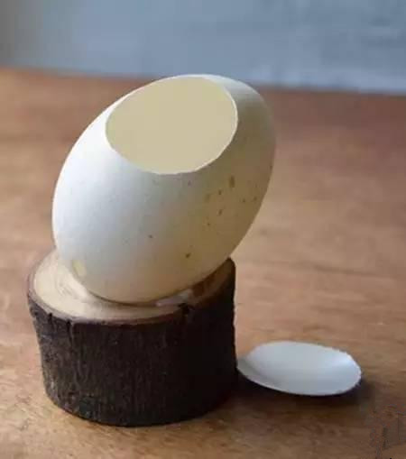 用鸡蛋壳这样养花1年不用施肥,鸡蛋壳别再扔了这样做比肉还好吃