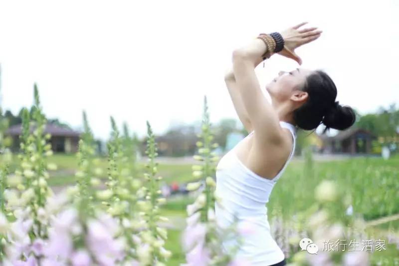 花海中最美的瑜伽,花海中的瑜伽动作