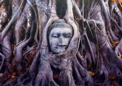 测测你适合去哪里旅游,测测你适合去北欧哪里玩