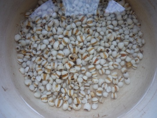 排油降脂解决便秘神器 (15天减16斤掉的更快更健康)