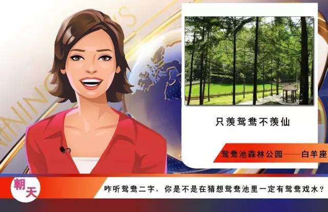 土象星座的星座,朝天的地理位置