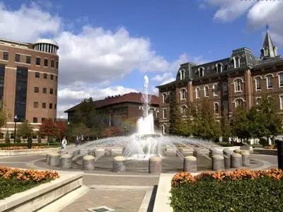 美国留学性价比最高的top10院校,美国留学最受欢迎专业排名