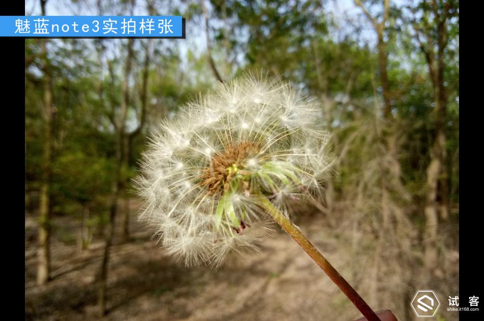 续航持久不发热手机,魅蓝note3续航