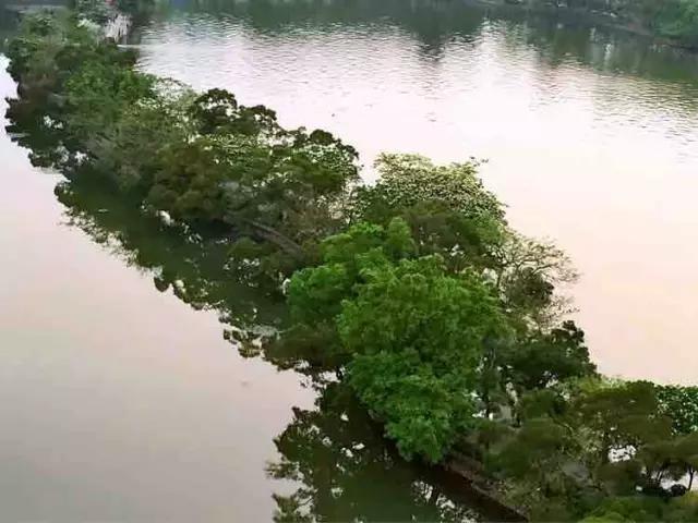 最美西湖观光,最美西湖