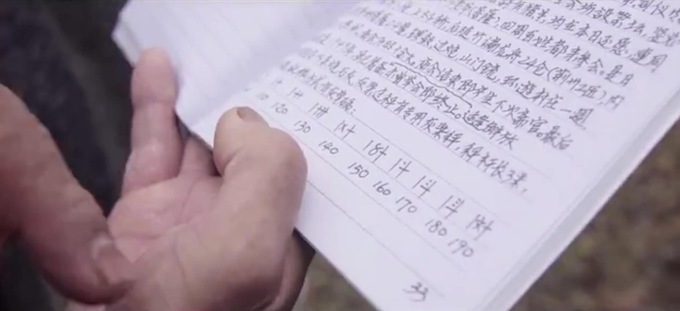 豆瓣日记:寻归“桃源村”:平坑调研琐忆(一)