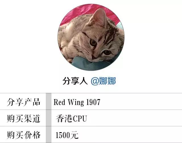 红翼工装靴8865,红翼工装靴最舒服的是哪款