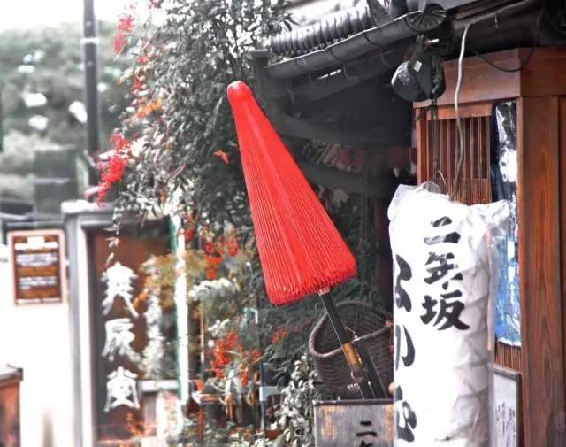 曼莉专栏｜葡萄*妞小**随妈游日本