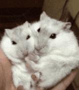 防火,防闺蜜,难闻的脚气怎么防?