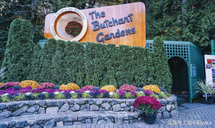 维多利亚水廊旅游,加拿大旅行景点