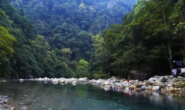 英德市特色,英德有几个特产