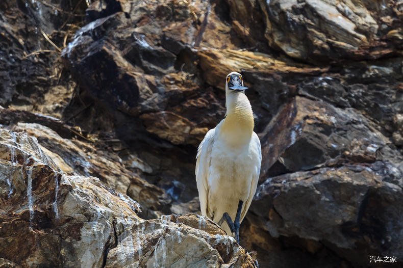 家乡之美美篇,家乡之美原唱完整版