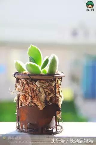 适合陪孩子一起做的创意小手工,周末手工作品