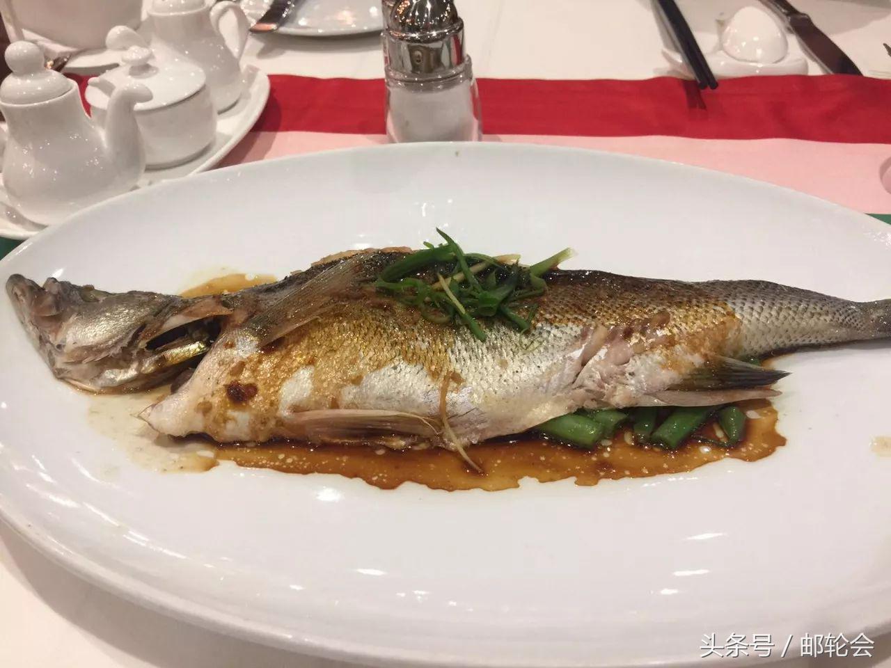 游记丨想带父母孩子上邮轮,千万别错过这篇攻略!