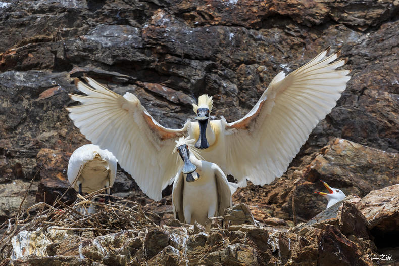 家乡之美美篇,家乡之美原唱完整版