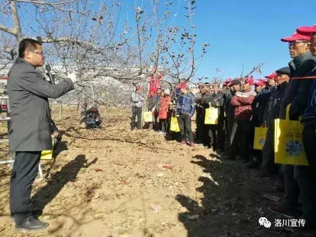 走过我的冬天,走过我们的2017完整版视频