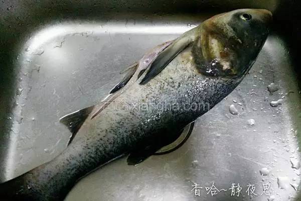 罗非鱼剔鱼骨切鱼片技巧,如何去鱼骨切鱼片视频