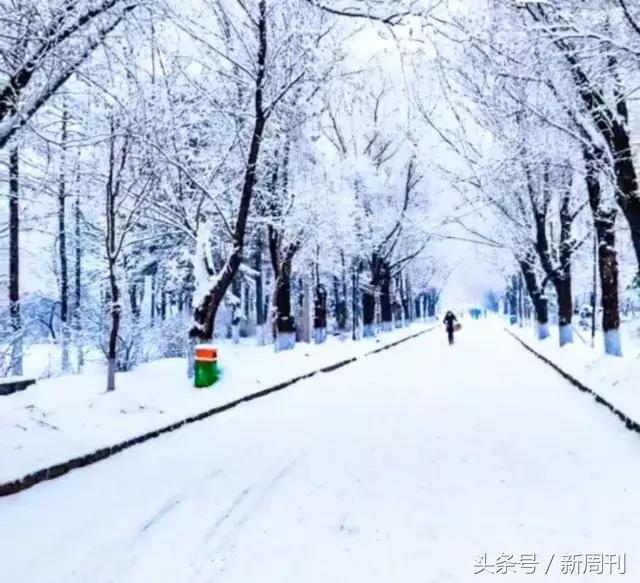 全球最美的十大雪景,全国十大最好看的雪景