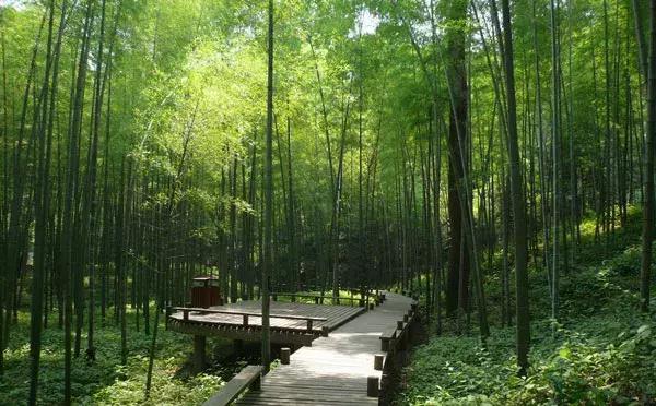 一城一色の人有德行，如水至清-德清