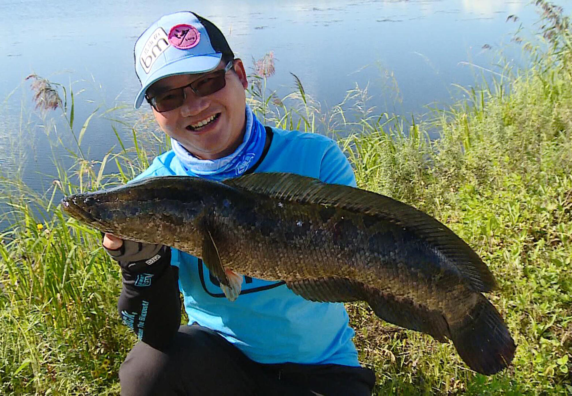 雷强操作教学,雷强雷蛙怎么装