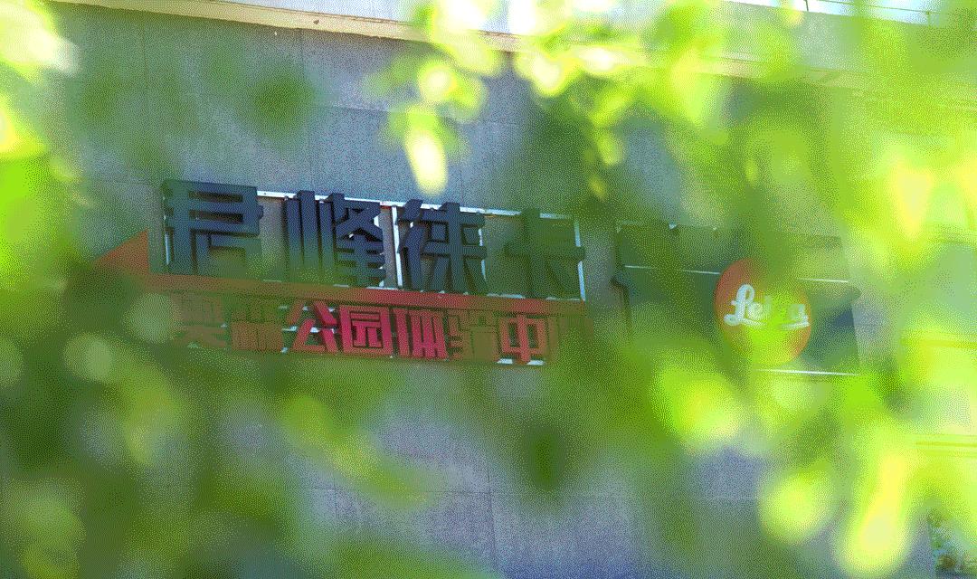 徕卡复刻版限量版一览表,徕卡限量版排名