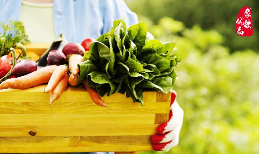 蔬食主义健康生活方式新选择,轻食主义健康饮食成年轻人新追求