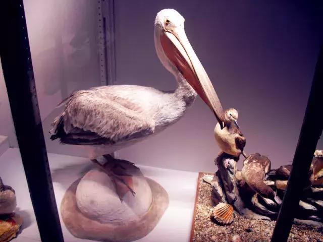 法国纪行—摩纳哥（看看F1赛道，欧洲*场赌**和摩纳哥王妃）