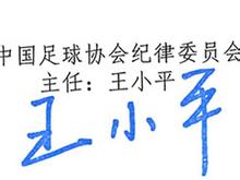 中国足球20年大事纪录片,2018中国足球十大新闻