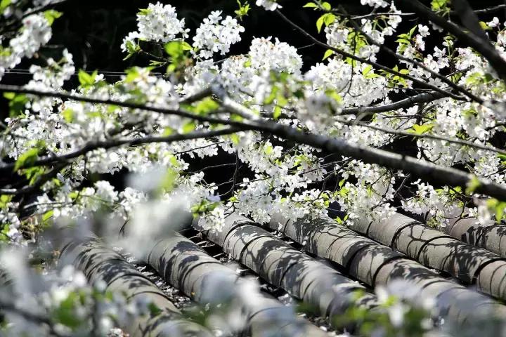 后期处理对于摄影来说是重要的吗,摄影后期用什么好
