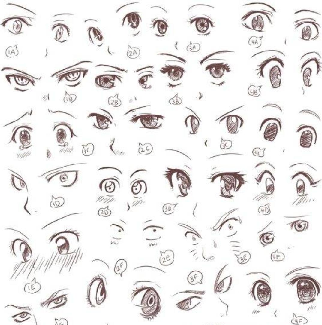 动物眼睛的画法大全,q版人物的眼睛画法
