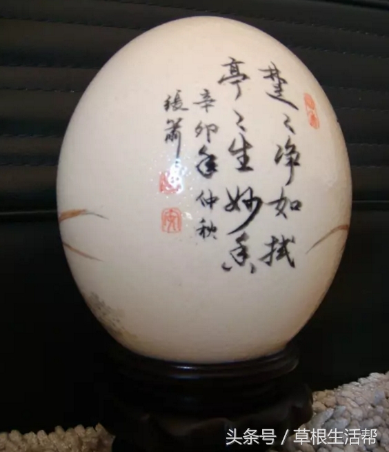 养殖“大笨鸟”，敲开致富门，80后回老家创业成为新一代农场主