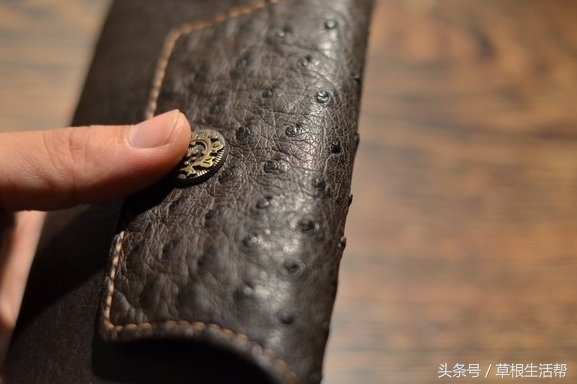 养殖“大笨鸟”，敲开致富门，80后回老家创业成为新一代农场主